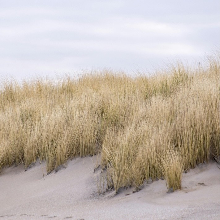 duinen-oostduinkerke